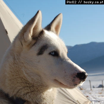 umiak