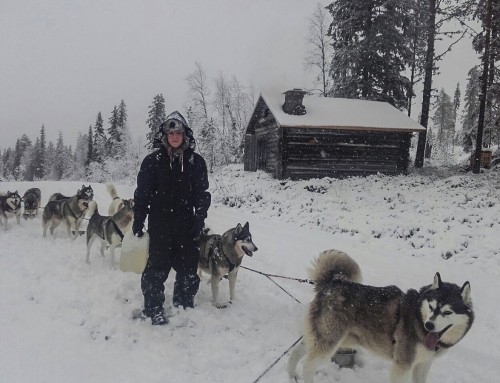 Husky äventyr på höstlovet